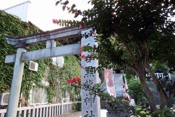 <p>Small red flowers and the stone torii gate of Kurotatsu Shrine</p>