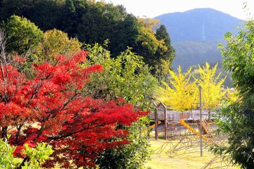 <p>Autumn leaves in the children's playground</p>