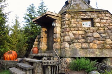 <p>Hagrid's&nbsp;hut really looks cosy</p>