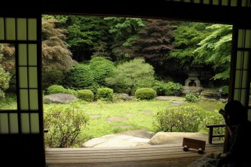 Vue sur le jardin japonais