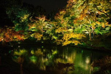 Kodai-ji Autumn Illumination 2026