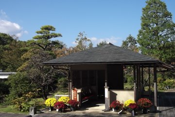 <p>A small pavilion with...</p>