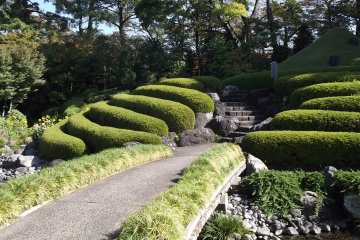 <p>The miniature Mount Fuji and its tea bushes</p>