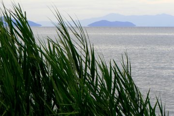 <p>Pale blue islands floating in the lake</p>
