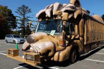 <p>Most people end up going with the bus tour from where you can be safe and be able to see the wild animals, as well as be able to feed them especially bears and lions.&nbsp;</p>
