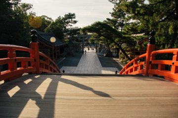 <p>View from the bridge.</p>