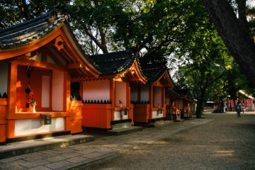 <p>different small shrines that are painted in bright orange.&nbsp;</p>
