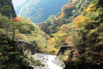 Umenoki Suspension Bridge and Falls