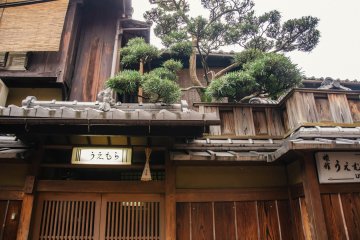 <p>A tree protruding from this small house.&nbsp;</p>