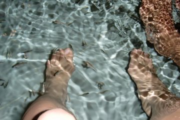 Turkish Hamam -- Doctor fish foot bath filled with little fish in a pool that eat off your feet.  There is a line for this attraction and you can pay 1000 yen for an official photograph