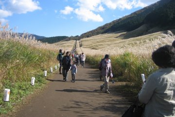 <p>There is an approximately 1 kilometer long promenade through the center of the field. It goes slightly up the hill and I suppose the view from the end of the walk must be fantastic too.</p>