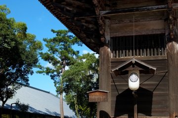 <p>Even the gate is so tall</p>