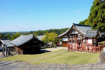 <p>Smaller buildings that surround the Nigatsudo Hall</p>