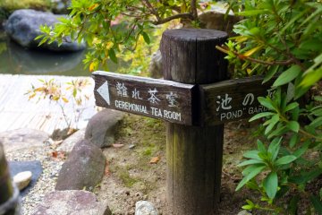 Quel chemin vous prenez ? 