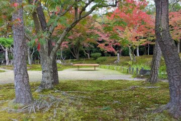 <p>Secluded yet beautiful</p>