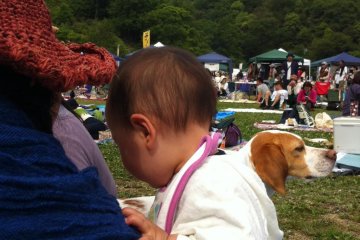 Babies and dogs