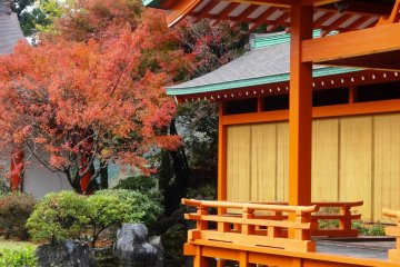 <p>A performance stage at the folk park is framed by maple trees</p>