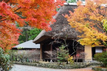 <p>But the changing fall colors will leave you captivated and keep you there for hours</p>