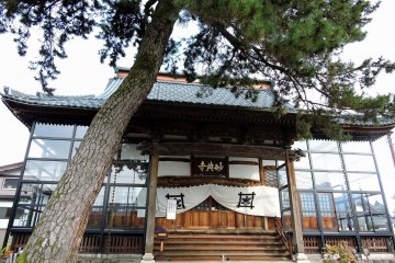 <p>Main temple building and a giant pine tree towering over it</p>