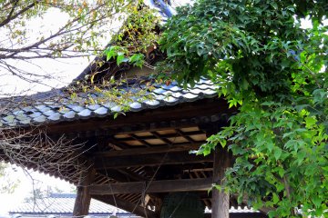 <p>Belfry and green leaves</p>