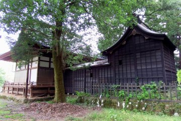 <p>Main prayer hall under the green leaves</p>