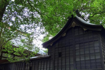 <p>I fell in love with the modest, yet graceful beauty of this main prayer hall, lost track of time and kept taking photos</p>