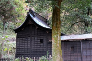 <p>Main prayer hall with a tall tree in front</p>