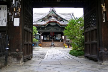 <p>Main hall of Gyoganji framed by the gate</p>