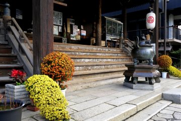 <p>Since it was autumn, magnificent potted chrysanthemums graced the temple steps</p>