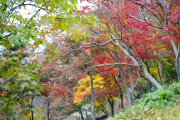 Climbing Mt. Maizuru 