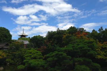 Ninna-ji's Ancient Beauty