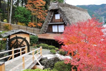 Gassho Folk Village in Autumn