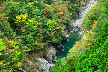 <p>In the valley the trees are changing color</p>