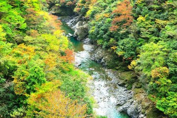 <p>One of the most scenic valleys in Japan</p>