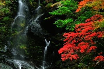 <p>A waterfall suddenly materialized when I was walking along the Iya river through the valley from Ochiai village</p>