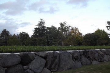Some remains of the castle that used to stand here