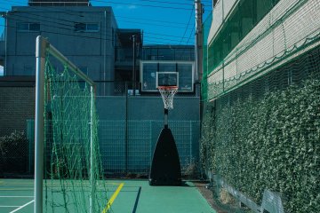 Goal and Basketball
