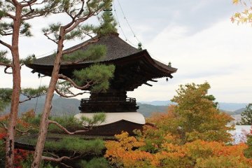 교토·사가노 "죠락코지"를 걷다 ~ 3