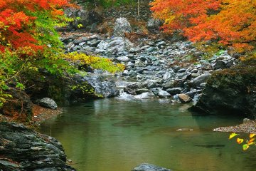 <p>At the bottom of the valley a river flows silently</p>
