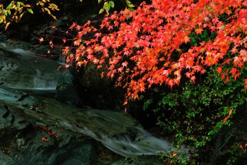 <p>Beautiful rock surface polished by clean water</p>