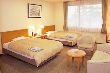 <p>Twin room</p>