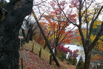 <p>Taman Yokote</p>