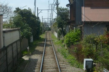 <p>Getting close to the locals around Gokurakuji</p>