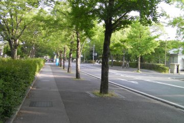 Okayama University