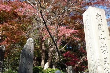 This is the bottom of the Mount Takao and the start of the hiking trails, cable car ride up, and chair lift.  The Japanese statues, including this one pictured here and a flying squirrel are so fun!
