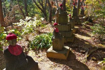 These little red capped statues run along the hiking path within and between the trees.  They impart a sense of watchfulness and protection