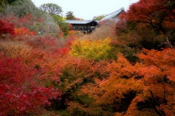 <p>Looking across the maple filled valley to the second covered bridge</p>