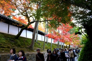 <p>Visitors flock to Tofukuji in autumn</p>