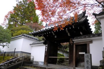 <p>Maple branches spread over a gate in the wall</p>
