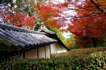 <p>I love Tofukuji's tile-capped wall</p>